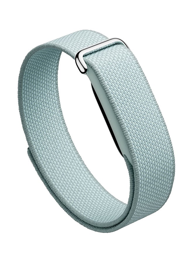 Google FitBit Air CURRY